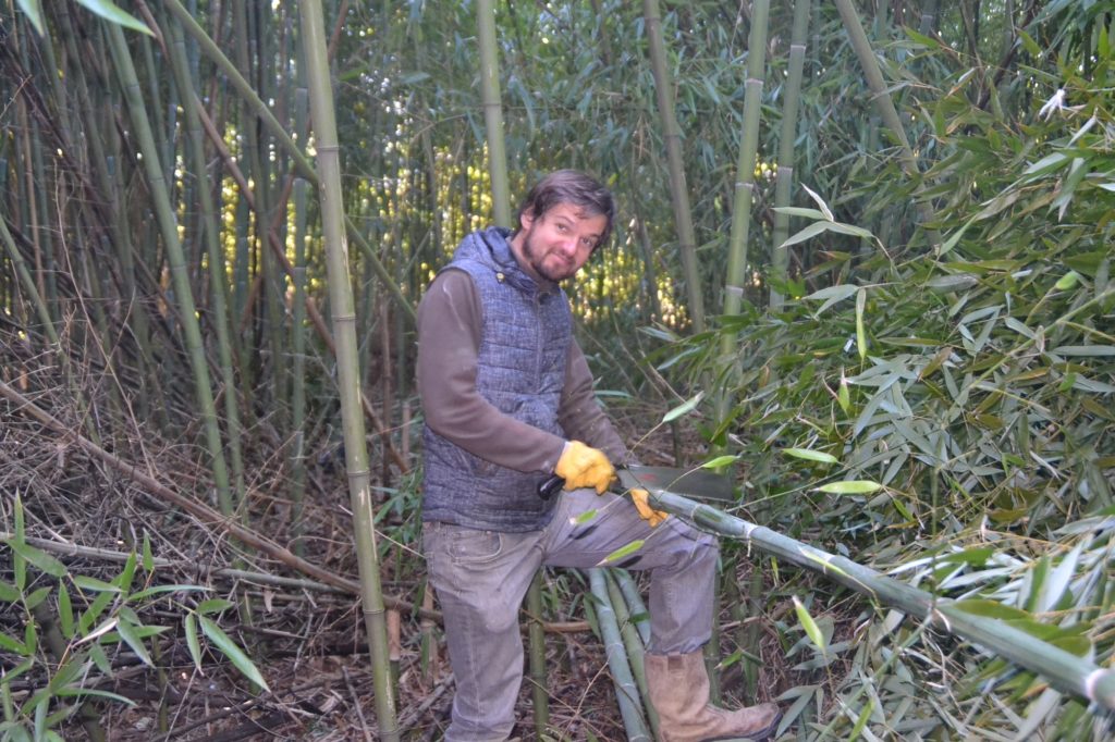 Découpe de bambous en France pour l'atelier Bambou Créations