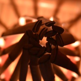 Lampe de chevet Hutte