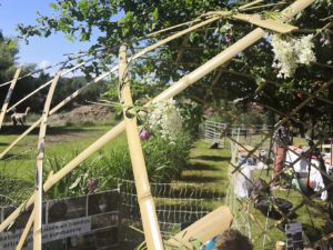 Décoration florale arche pliable 2