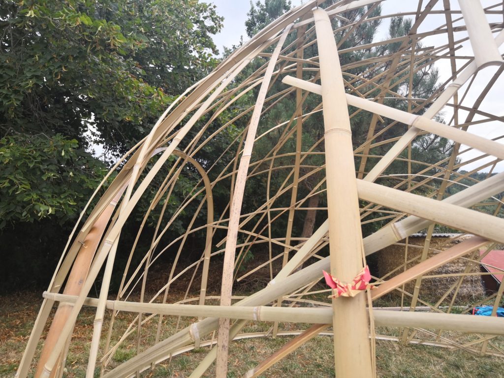 Maillage aléatoire d'un dôme en lamelles de bambou