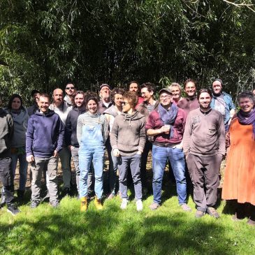 Association le Réseau Français du Bambou RFB
