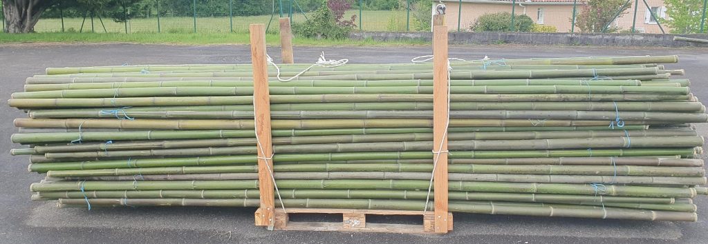 Unique : Cannes de bambou françaises, jusqu'à 4m 2 Livraison de 200 cannes de bambous 51/60mm de 4mètres pour un client