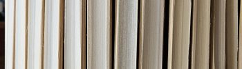 Vente de lamelles de bambou françaises