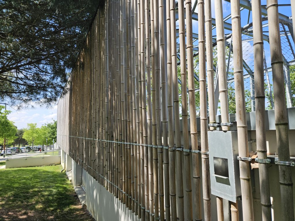 Aménagement bambou extérieur 2 Notre canne de bambou en place sur un bardage de la maison de quartier de Balma