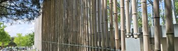 Notre canne de bambou en place sur un bardage de la maison de quartier de Balma