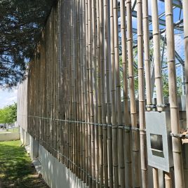 Notre canne de bambou en place sur un bardage de la maison de quartier de Balma