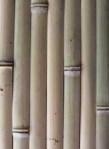 Face extérieure des lamelles de bambou françaises