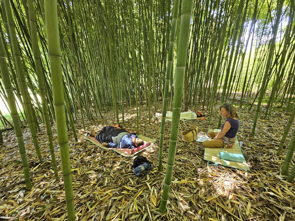 Séjour Bambou Yoga du 20 au 24 Juillet 2026 1 séance bambou yoga en bambouseraie