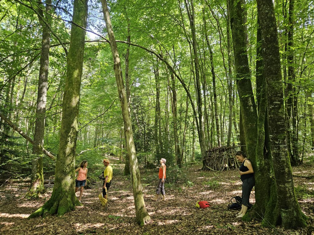 Balade en forêt séjour bambou-yoga