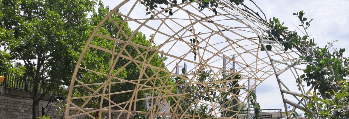 Arche d'accueil en lamelles de bambou su-mesure